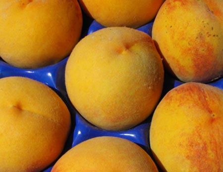 Pesche tardive settembrine ~ La pesca di Leonforte